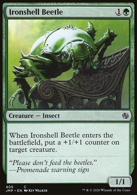 Ironshell Beetle